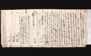 沢野忠庵 - meddic