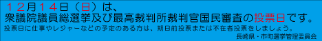 衆議院総選挙及び最高裁国民審査