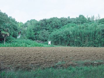 壱岐国分寺跡