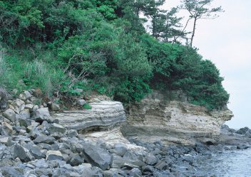 壱岐長者原化石層