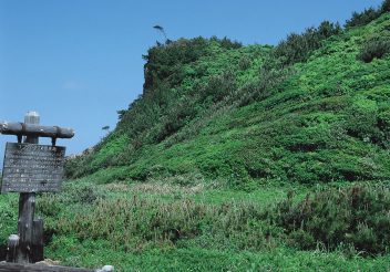 辰の島海浜植物群落