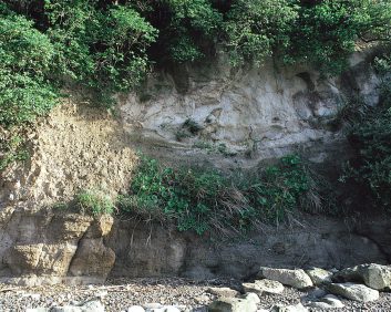 壱岐のステゴドン象化石産出地