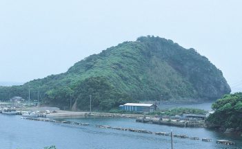 壱岐の鏡岳神社社叢