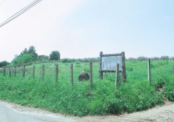 川頭遺跡