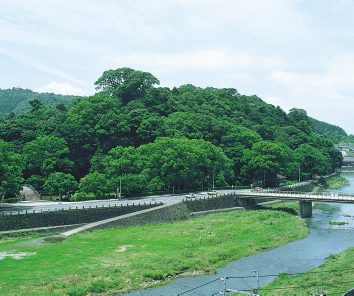 諫早市城山暖地性樹叢