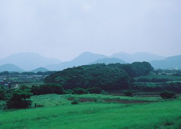 巌立神社社叢