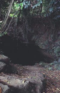 富江溶岩トンネル「井坑」