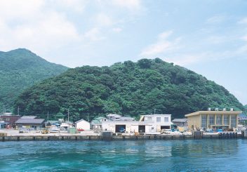 奈留島権現山樹叢