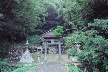 世知原の大山祇神社社叢