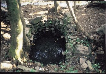 豆酘寺門「樫ぼの」遺跡