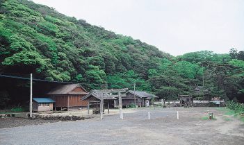 豊玉の和多都美神社社叢