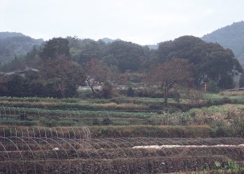 現川焼陶窯跡　田中宗悦の墓石1基・窯観音1基（堂を含む）