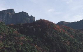 平戸礫岩の岩石地植物群落