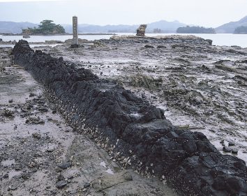 弁天島岩脈