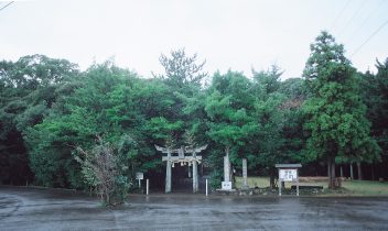 福島町の今山神社社叢