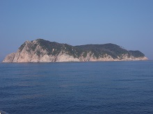 大立島の植物群落