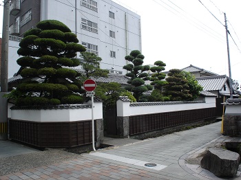 島崎家住宅 主屋・離れ