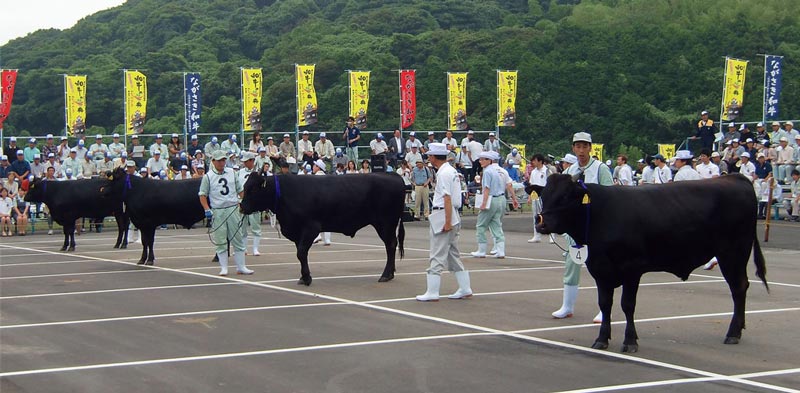 写真　共進会