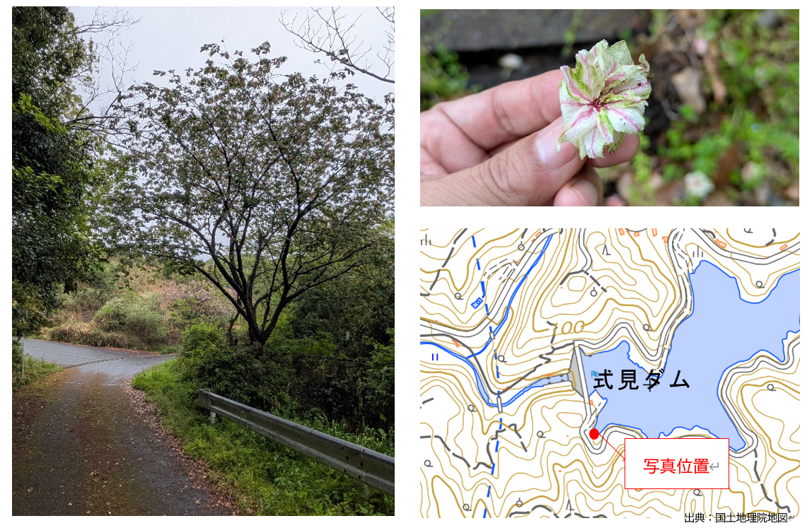 スクリーンショット 2026-04-22 165838.png