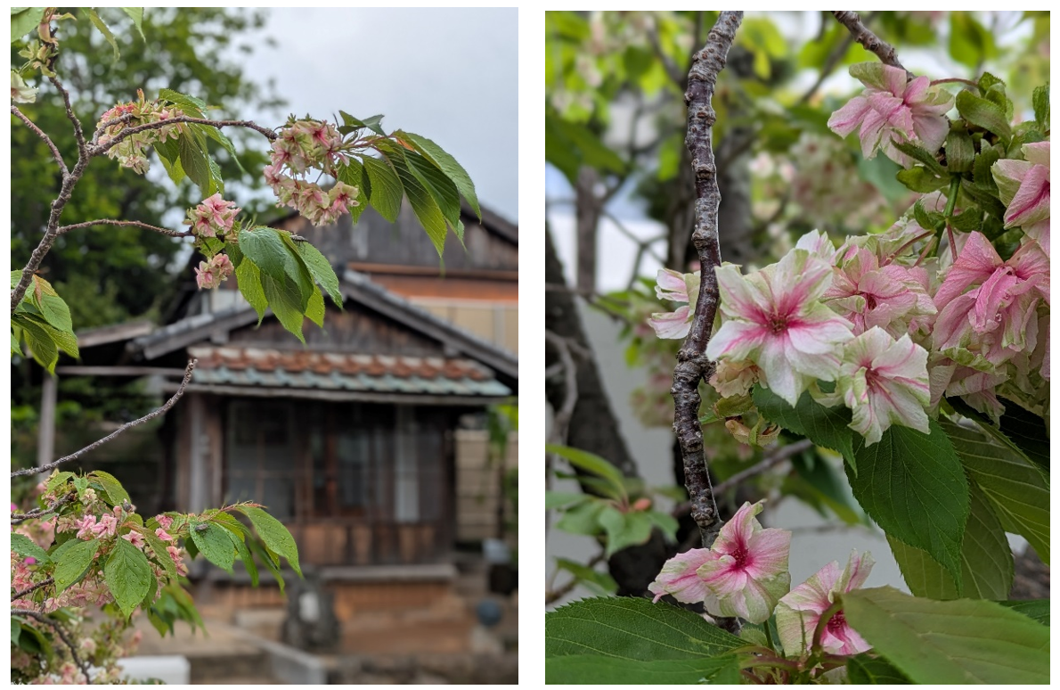 スクリーンショット 2026-04-22 170116.png