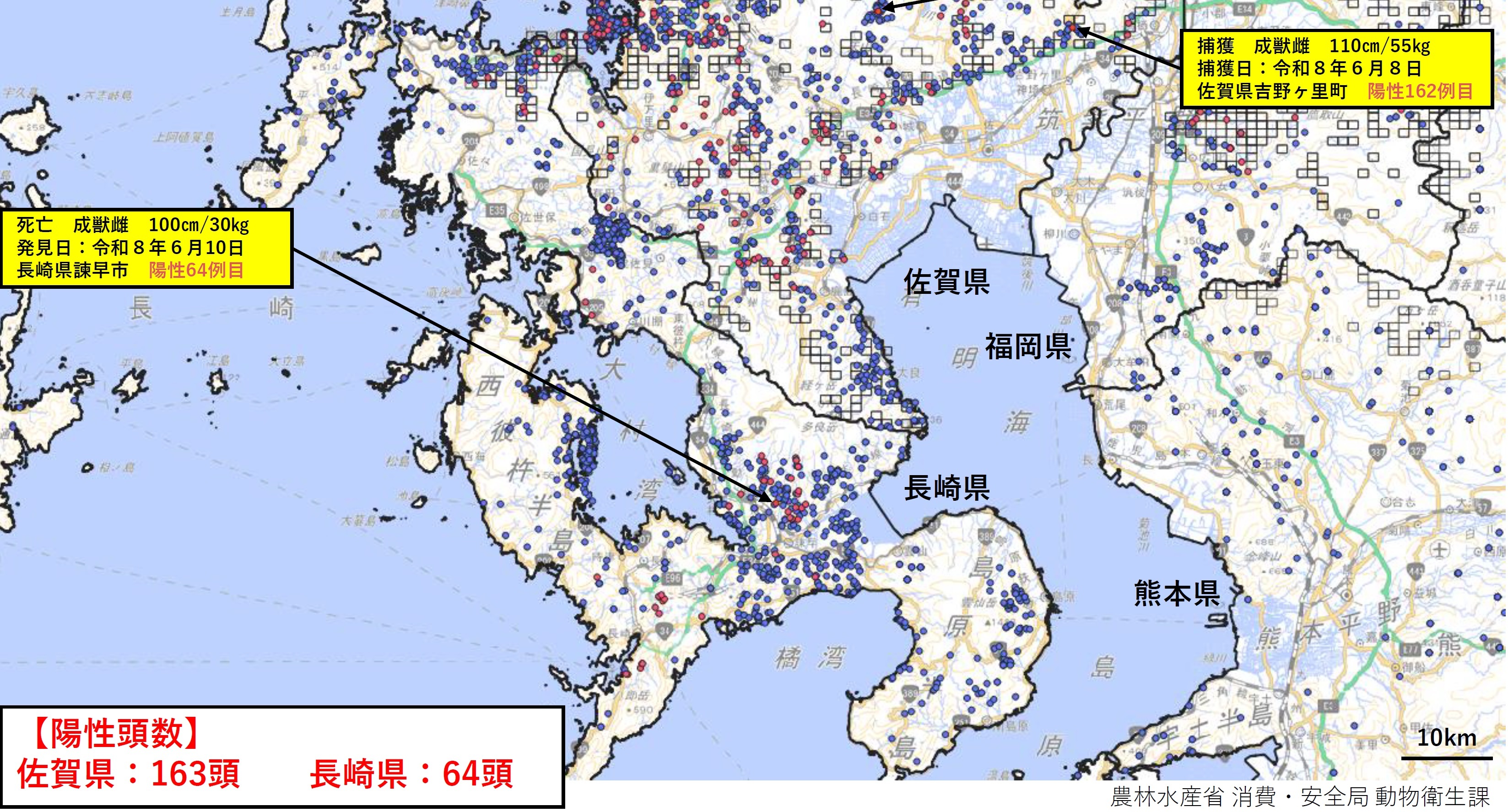 20260619九州野生イノシシ定例検査情報.jpg