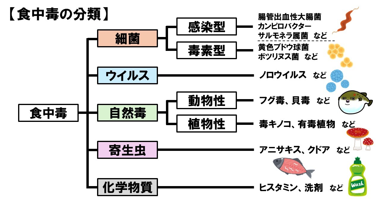 食中毒の分類表.JPG