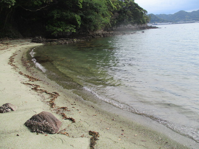 崎野自然公園写真2.JPG