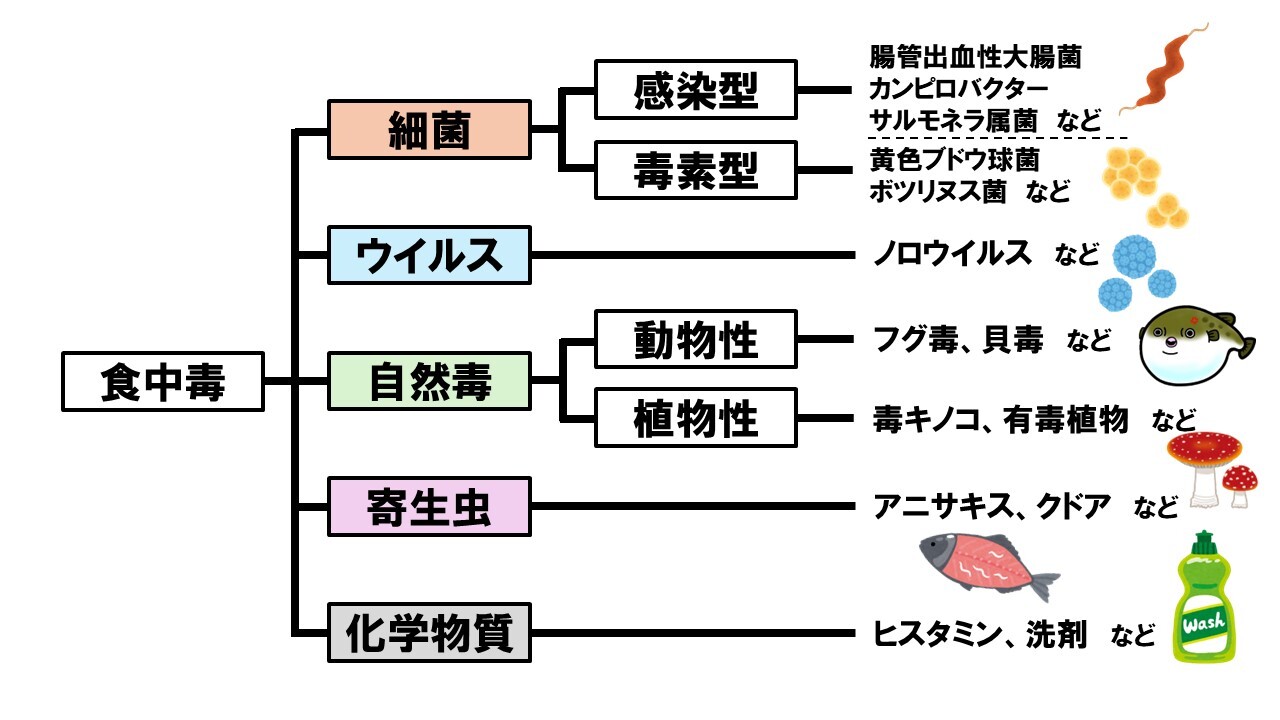 食中毒分類表.JPG