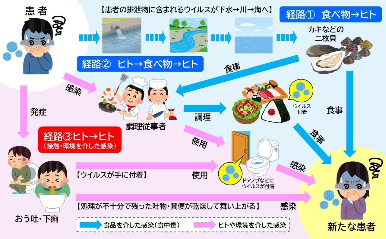 感染経路.JPG