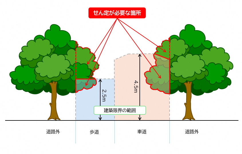 せん定(図).png