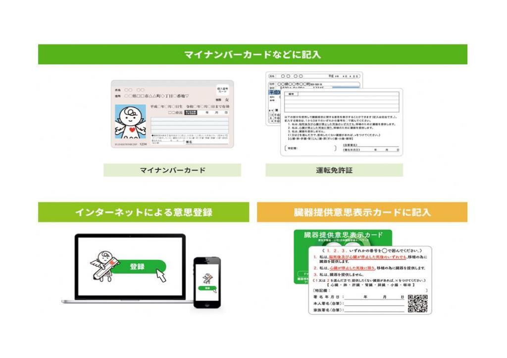 臓器移植カード.jpg