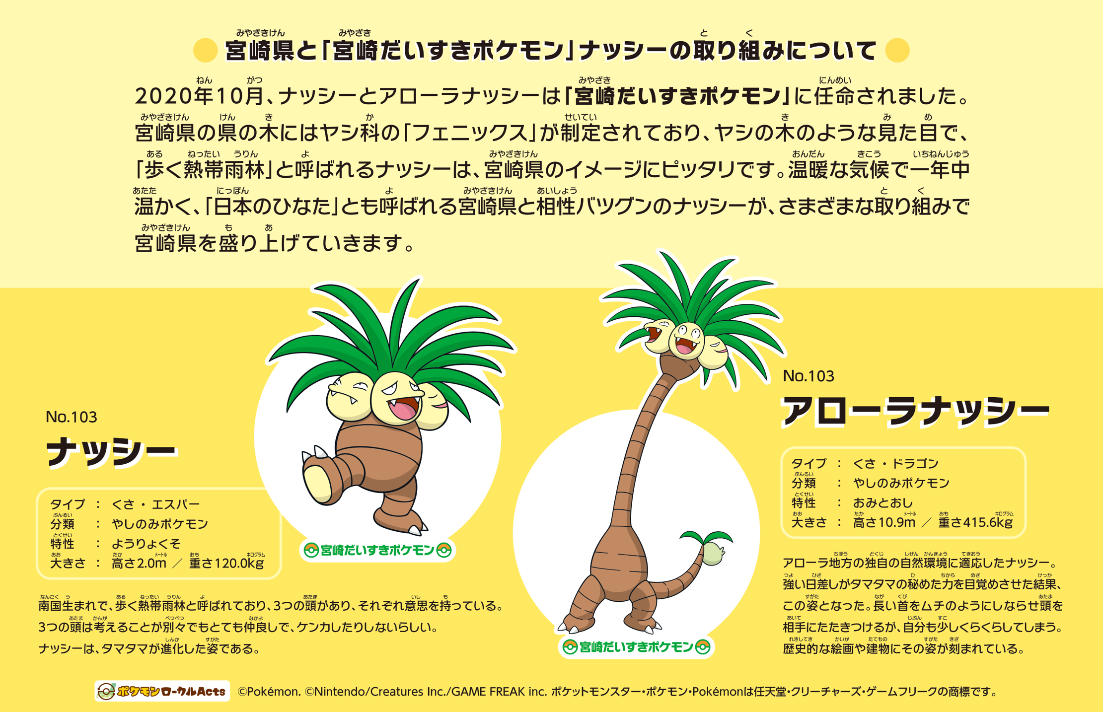 ナッシー取り組み.png