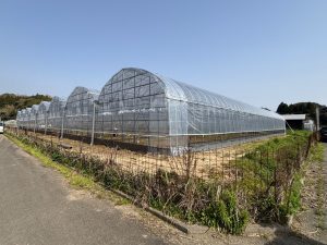 令和6年度に新設した、寒害被害防止のための簡易ハウス C.jpg