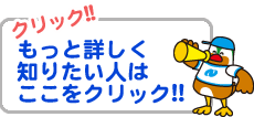 詳しく知りたい人はここをクリック！