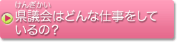 県議会はどんな仕事をしているの？