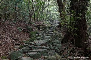 平戸の聖地と集落(春日集落と安満岳)