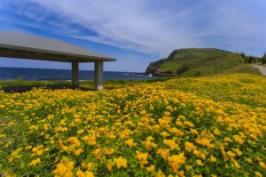 五島市の景観