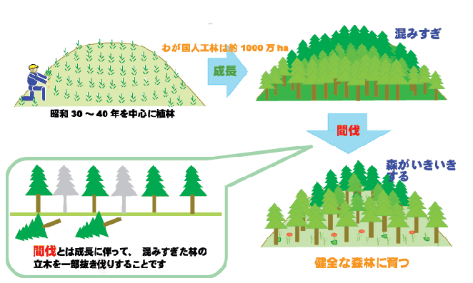 森林の整備 長崎県