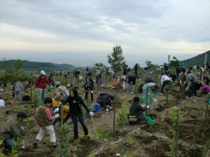 雲仙・普賢の森植林ボランティア