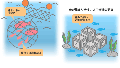 効率よく漁獲するための漁具や漁法の研究、魚が集まりやすい漁礁の研究