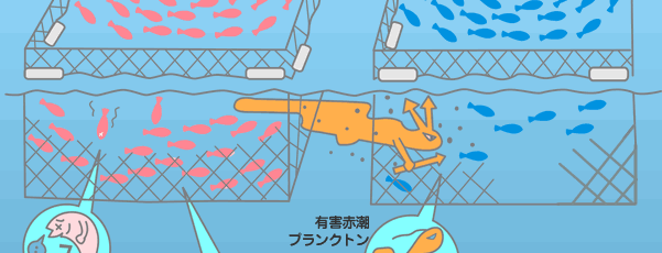 赤潮発生時の対策