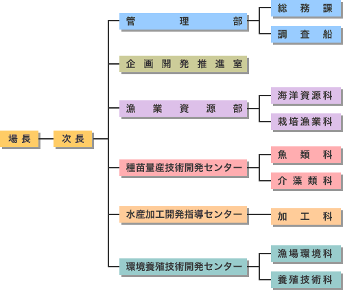 管理部、企画開発推進室と4つの研究センター、7つの研究科により編成