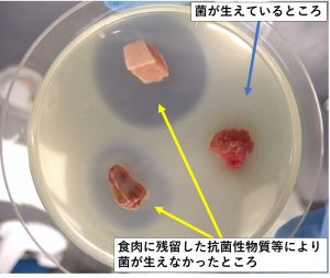 食肉中に残留する抗菌性物質等の簡易検査