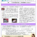 info23