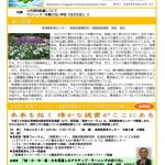 info20