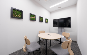 MEETING ROOM