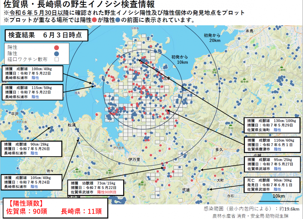 20250603野生イノシシ検査情報