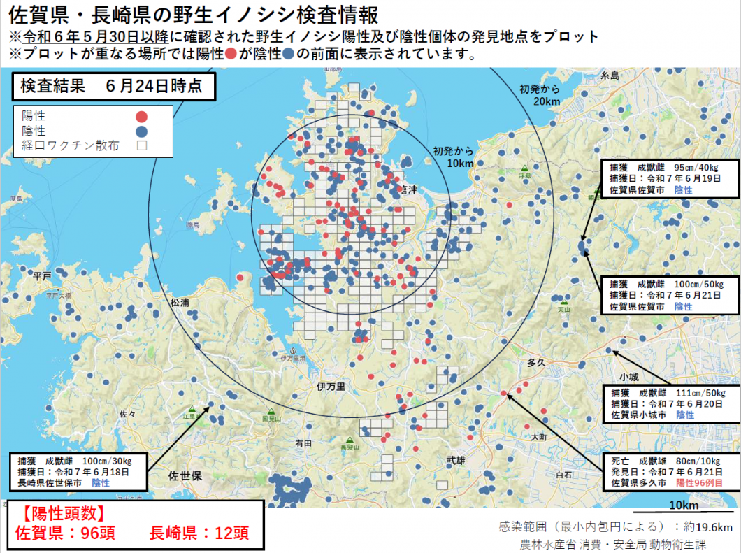 20250624野生イノシシ検査情報