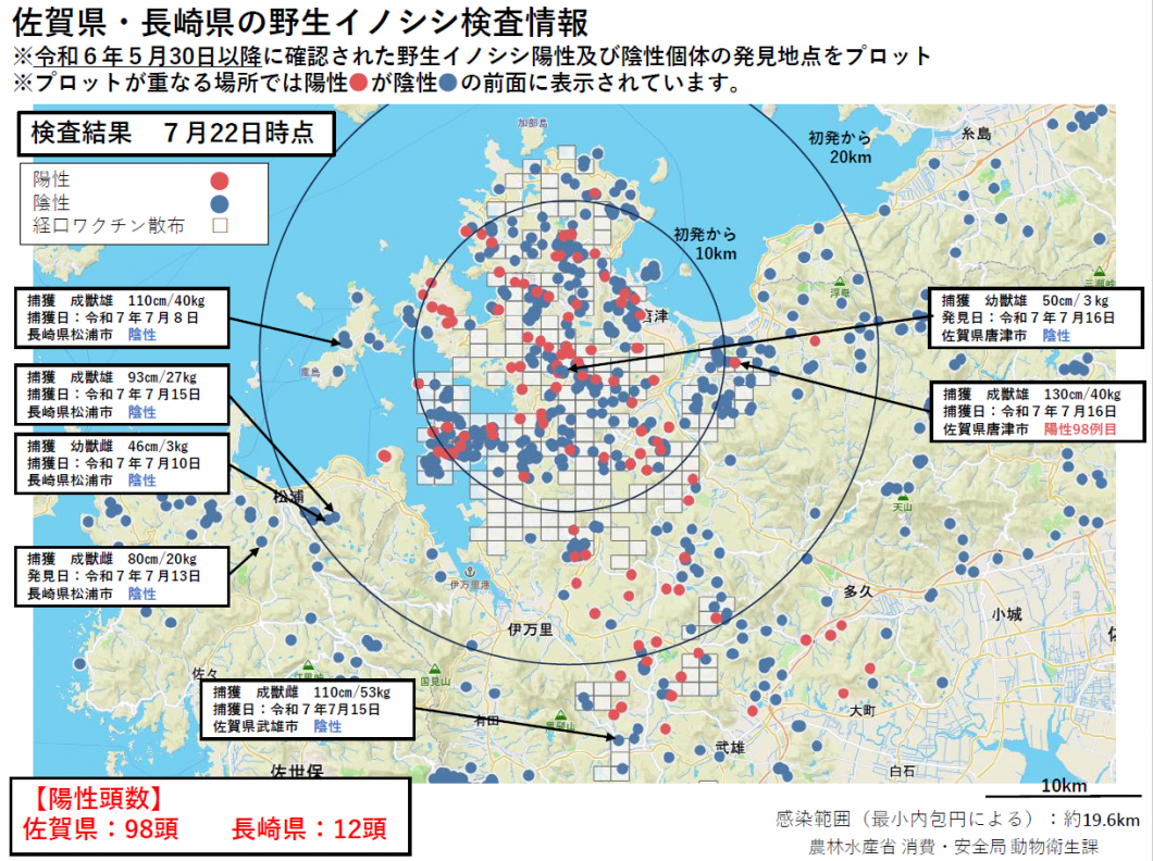 20250722野生イノシシ検査情報