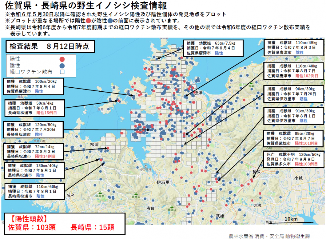 20250812野生イノシシ検査情報